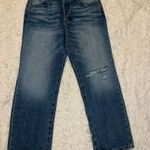 Urban Outfitters NWT  Size 31 Boyfriend Low Rise Medium Wash Distressed Jeans Photo 0