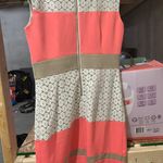 New York & Co. Wedding guest dress Photo 0