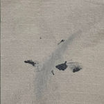 Levi Strauss & CO. Men’s Levi’s Beige Cargo Shorts Size 38 Photo 1