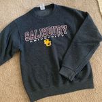 Salisbury Crew Neck Sweatshirt Gray Photo 0