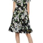 Dolce & Gabbana NWOT  almond blossom print dress Photo 2