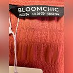 Bloom chic coral textured short ruffle/hem sleeves vneck faux button blouse Photo 4