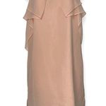 BCBGeneration Chiffon Slip Dress Blush Color Size Small Photo 0