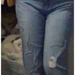 Joe Fresh Slim Boyfriend Jeans Photo 3