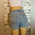 PacSun  Mom Shorts Photo 1