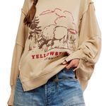 Free People We the free Yellowstone oversized crewneck Photo 0