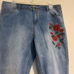 Jordan EUC Alexander Light Wash Embrlidered Floral Skinny Jeans size 12/31 Photo 1