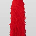 Rat & Boa Red Cecelia Maxi Formal Dress Photo 1