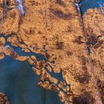 JS Collections Whimsigoth Woodland Fairy Whimsical Vtg Velvet Burnout Long Sleeveless Dress 4 Photo 9