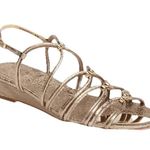 Stuart Weitzman * Sandals Womens Size 11.5  Gold Strappy Gladiator Quiet Luxury Photo 0