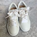Dolce vita Harryson Ivory Ribbon Lace Up Shoes NEW WITH BOX Sneakers Size 8 Photo 1