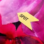 NBD Levigne Mini Dress in Dark Floral XS Photo 14