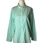 Everlane  Mint Green And White Striped Cotton The Relaxed Oxford Shirt Size 4 NWT Photo 0