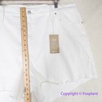 Madewell New!‎  High-Rise Denim Shorts in Tile White size 37 Photo 5