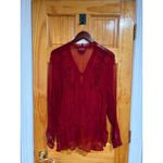 Carole Little 100% Silk Embroidered Sheer Blouse Top Red Floral Romantic Vintage Size 14 Photo 4