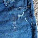 Sonoma NWT! Medium Wash Distressed High Rise Shorts Size 24W Photo 6