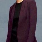 Babaton Aritzia  Keith Collarless Tailored Blazer 0 Photo 0