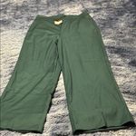 Women’s dress slacks Green Photo 0