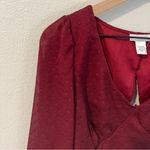 Kirious LA Burgundy Swiss Dot Chiffon Bell Sleeve Tie Back Cutout Crop Top L Red Size L Photo 1