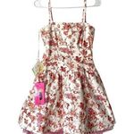 Betsey Johnson  RARE Y2K Skull Cherubs Toile Dress NWTS size 6 Pink Photo 0