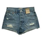 Madewell NWT Relaxed Denim Shorts Homecrest Wash Ripped Edition Distressed 25 Photo 4