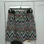 NWT Vanity Skirt Size undefined Photo 0