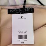 Topshop Nude Black Lace Dress Photo 2