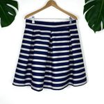 Chicwish 🆕 Adorable Stripe Pleated A-Line Skirt Photo 6