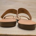 Coconuts by Matisse {8.5M}  Blush Pink Croc Sandal Slides Photo 7