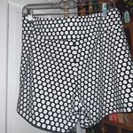 J. McLaughlin Newport Shorts Wide Yolk Pull On Size Large Chatham Dot Photo 3