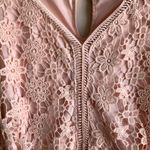Est. 1946 Blush Pink Lace Dress Size 10 Photo 6