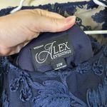 Alex Evenings  Women's Tea Length Embroidered Dress with Illusion‎ Sleeves 22W Photo 7