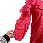 Alexis  Calypso Ruffled Embroidered Fringe Party Dress in Rouge Photo 6