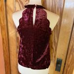 Altar'd State maroon velour top Photo 6