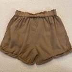 American Eagle Outfitters Khaki Shorts Photo 2