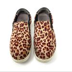 Dr. Scholls DR SCHOLL’S Madison, leopard sneakers, size 7 Photo 5
