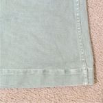 Madewell  Denim Emmett Mint Sage Skirt, size 26 Photo 2
