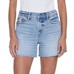 Pistola Kennedy Jean Shorts Size 32 Photo 0