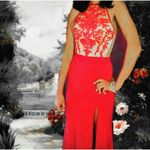 Paparazzi Beaded Embroidered Net Jersey Gown by  Prom Size 2 Photo 6