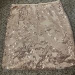 Jun & Ivy Mini Skirt Photo 0