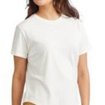 Allbirds  Women's Cotton Tee Blizzard Size M Photo 0