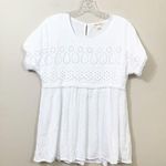 Studio West  Apparel Crochet White Short Sleeve Top Photo 0