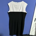 Calvin Klein  Black and White Women's Dress Classic Business Casual Photo 3