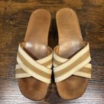 Coach Clogs Cognac Wood Platform Mules Slide Eliana Tropical Sandals Sz 7 Photo 1