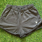 Playboy  x PacSun Bunny Rolled Shorts Medium Photo 0