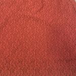 Hinge  Lace Skirt Elastic Waist Lined Size Large L Rust Orange Photo 7