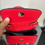 ALDO  Red Mini Bag with Gold Hardware / Crossbody strap not included Photo 4