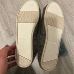 Toms Tom’s Gray Shoe- NWT Photo 2