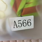 NWOT ALEMAIS Constance Back Ribbon Photo 12