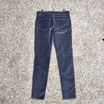 Garnet Hill  | Gray Velour Skinny Pants Sz 2 Photo 1